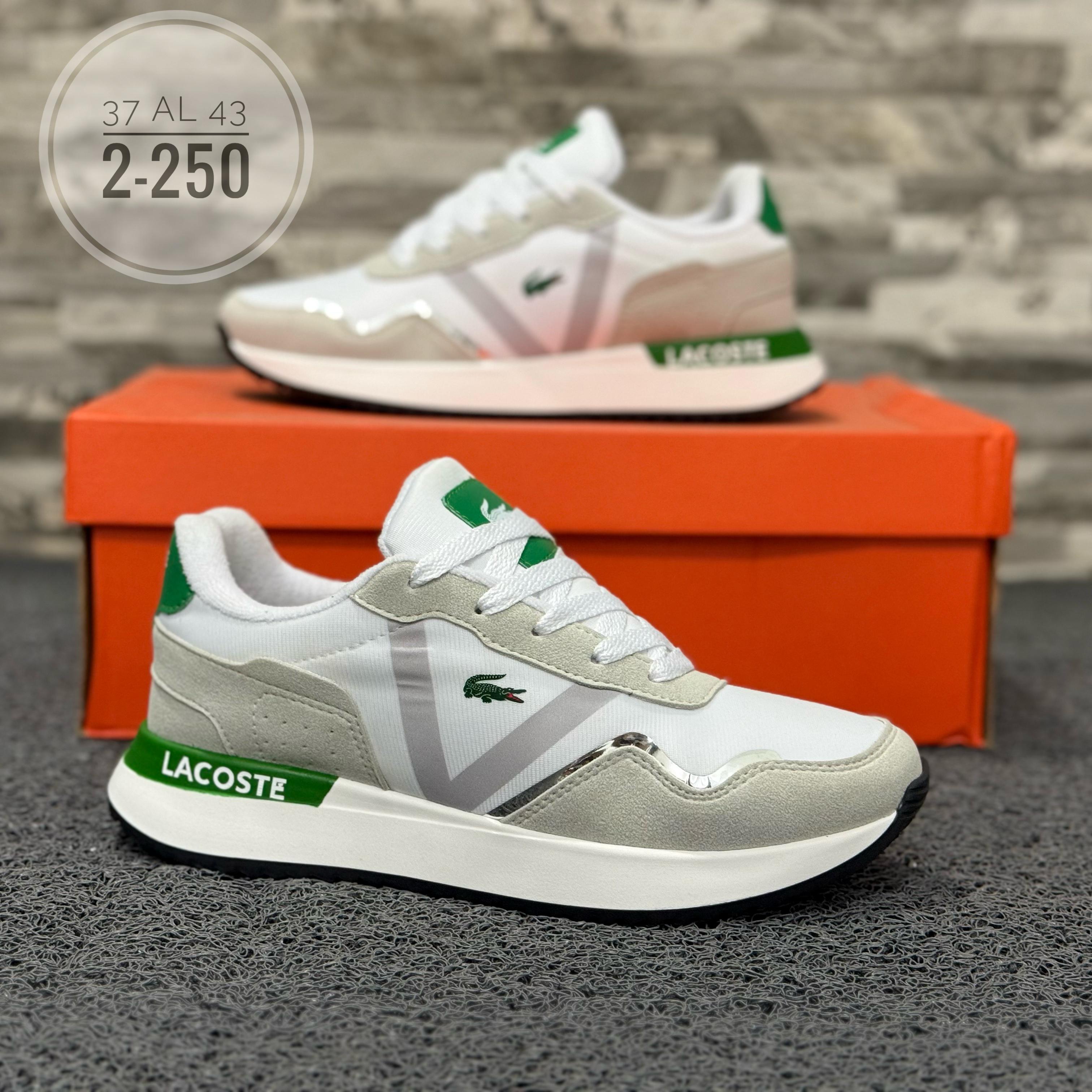 Lacoste Blanco Verde